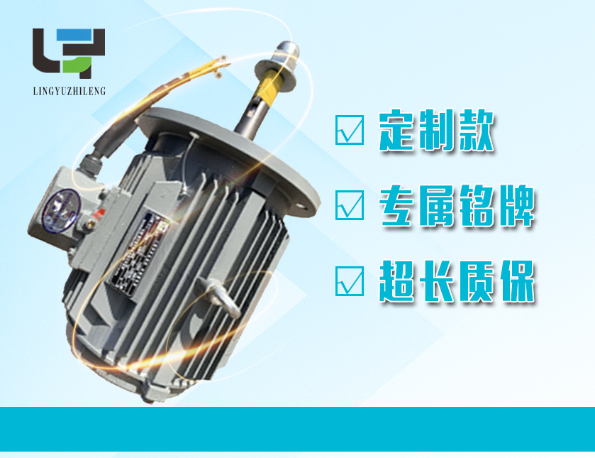 菱宇全新定制電機
